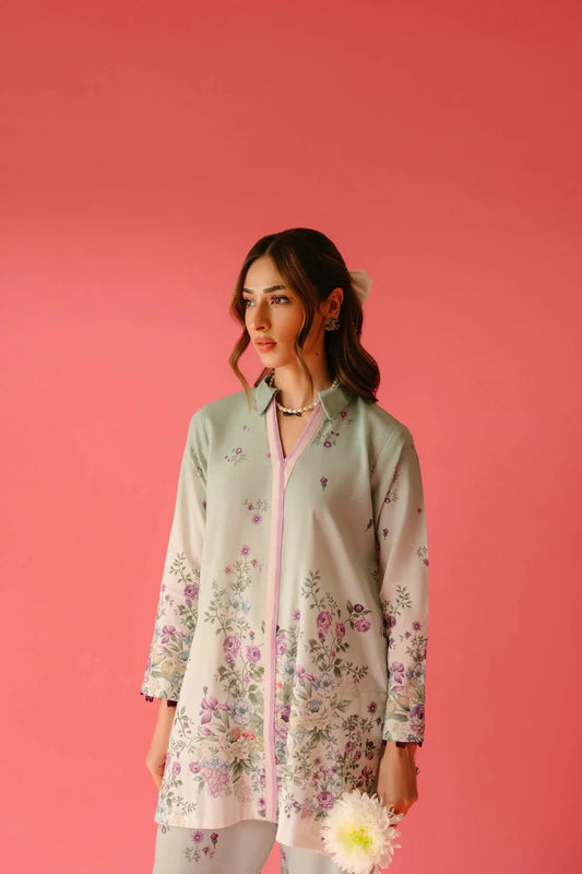 Pakistani Style Co-Ord Set